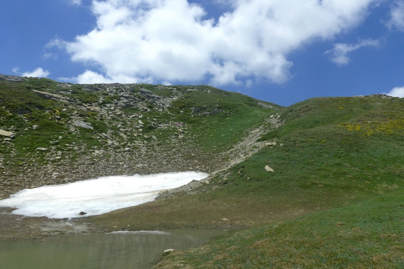 La Nigritella widderi a Pizzo di Sevo e Cima Lepri  -  luglio 2025